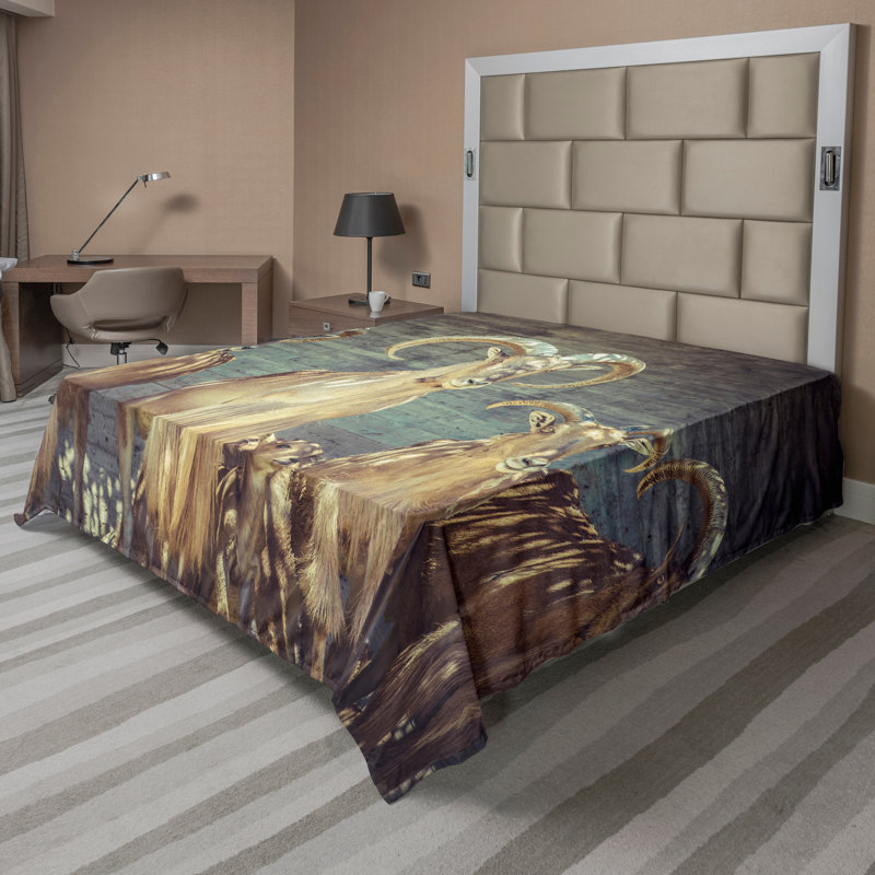 Drap plat Ambesonne, Grand