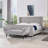 Janna Upholstered Wingback Bed-387700365-387700367