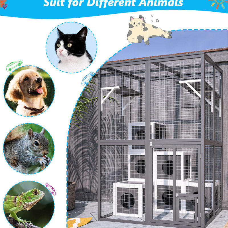 Grand chat gris - bois massif avec 2 plateformes et 7 abris pour enclos pour chats confortables