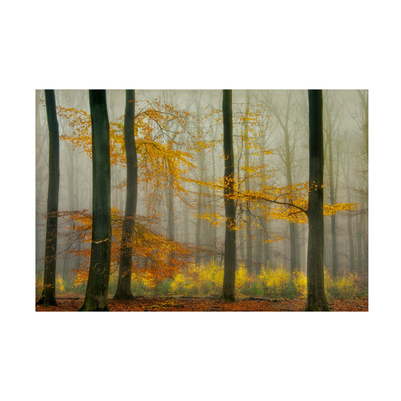 Art sur toile, couleurs de l'automne dernier de Piet Haaksma, H 12 po x l 19 po
