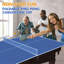 Plateau de tennis de table pliable et portable 7 * 4Ft-120218671-120218672