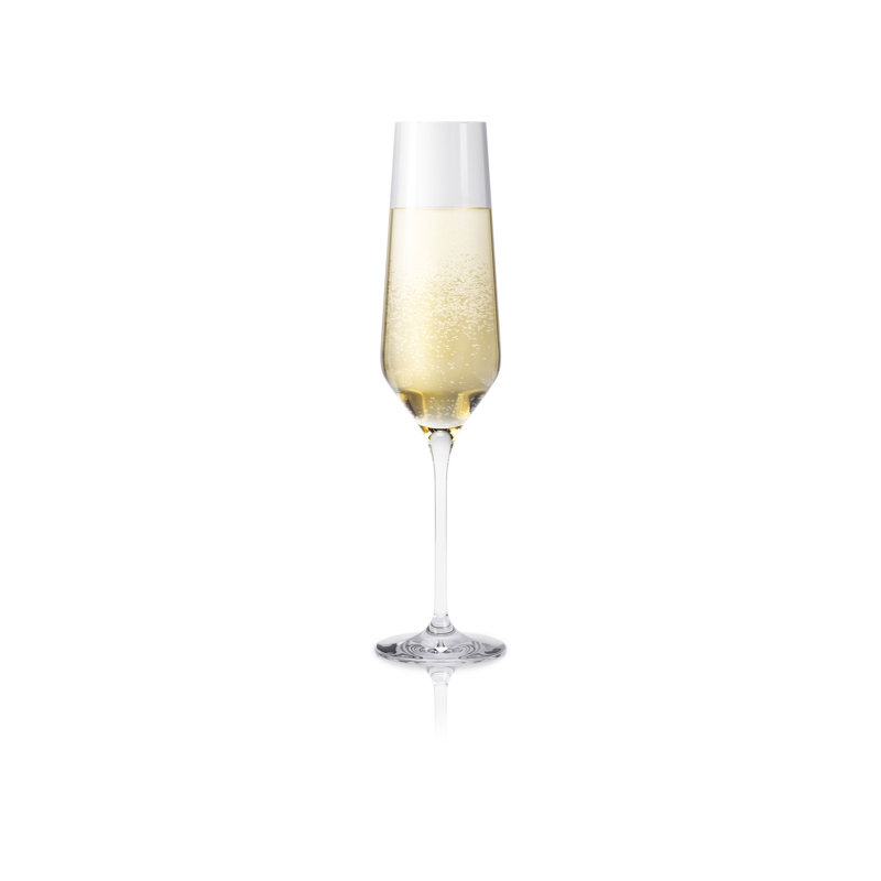 260ml Flute Set