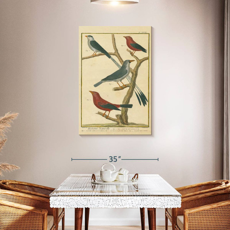 Brampt Bird Drawing I, 45" H x 30" W