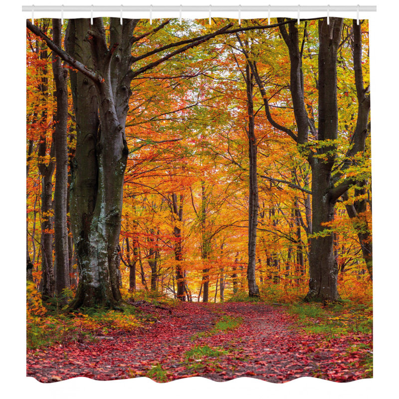Rideau de douche Xanthe Autumn Fall Forest, H 75 po x l 69 po