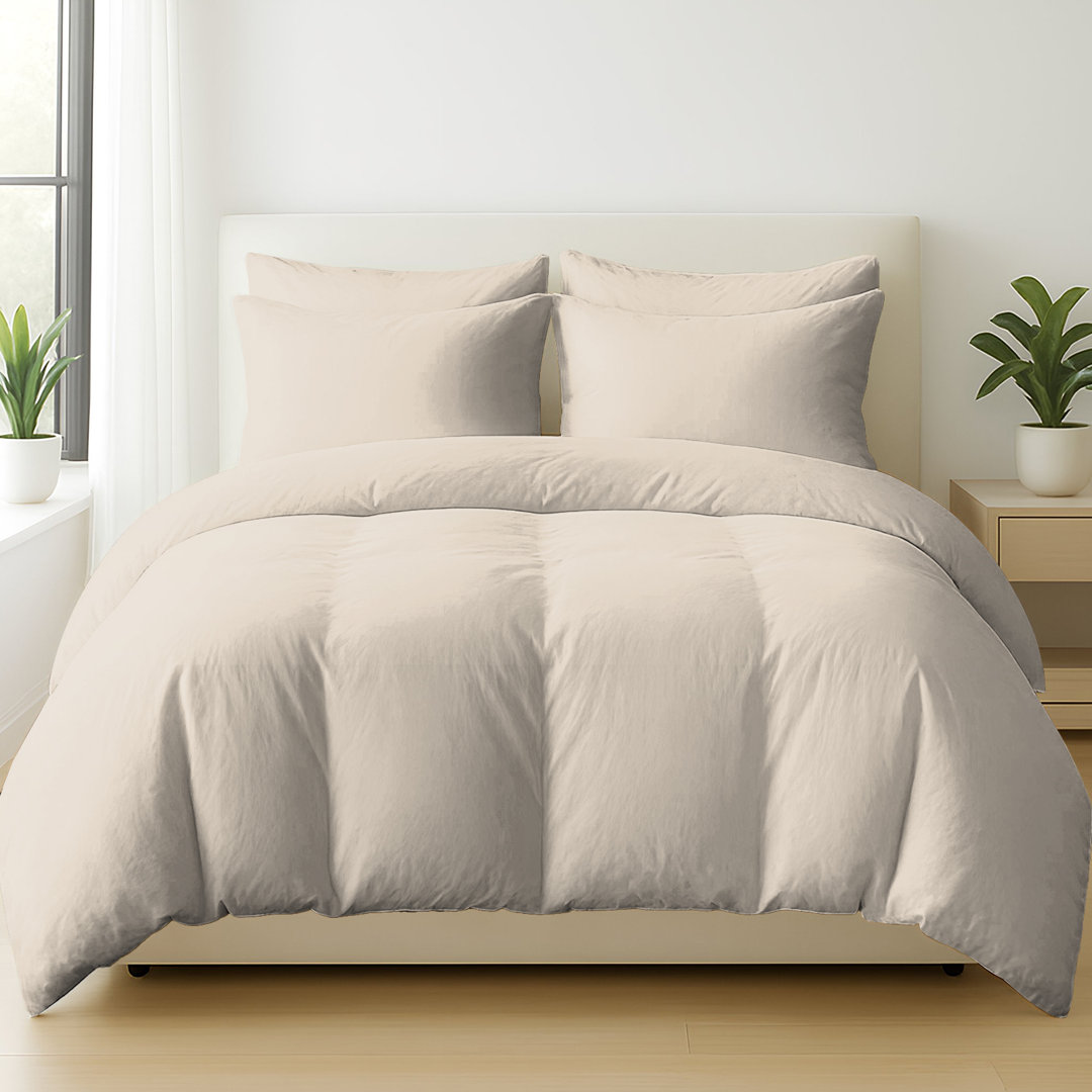 Microfiber No Pattern Duvet Cover Set