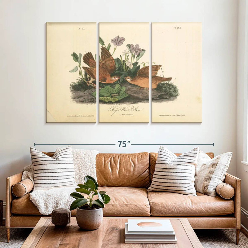 Brampt Key-West Dove, 42" H x 65" W
