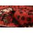 Anzaldua Red Rug 3'5" x 4'6"