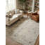 Oriental Area Rug in Beige-712152776