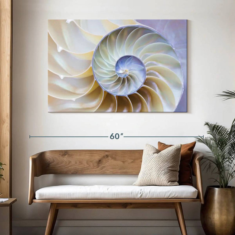 Empty Nautilus Shell, 32" H x 48" W
