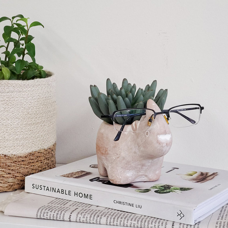 Marckus Pot Planter