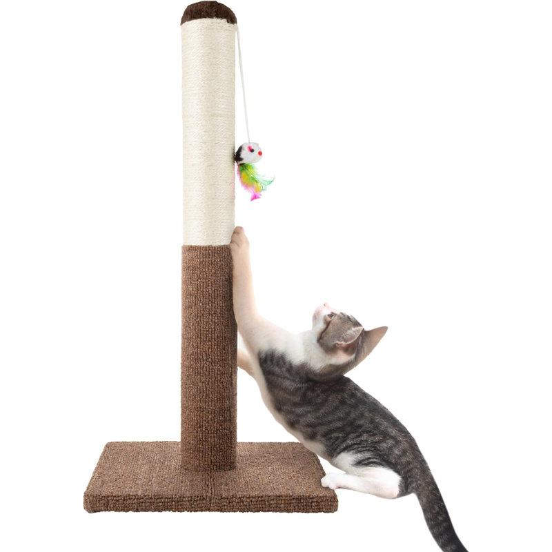 Petmaker Cat Scratch Post with Hanging Toy