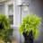 Wetumka Hanging Planter-930531038-930531035
