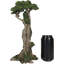 Figurine Gaia Dryad Ent
