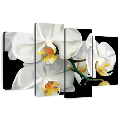 Orchidées glamour Harnek