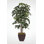 Faux Foliage Tree in Metal Pot