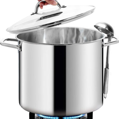 Large Stockpot 20 qt with lid - Heavy Duty Induction Stockpot