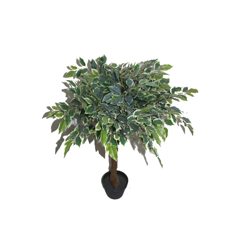 36'' Faux Bonsai Tree in Pot