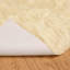 Solid Colour Standard Area Rug-679756649