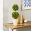 Preserved Boxwood Double Ball Topiary-550643435