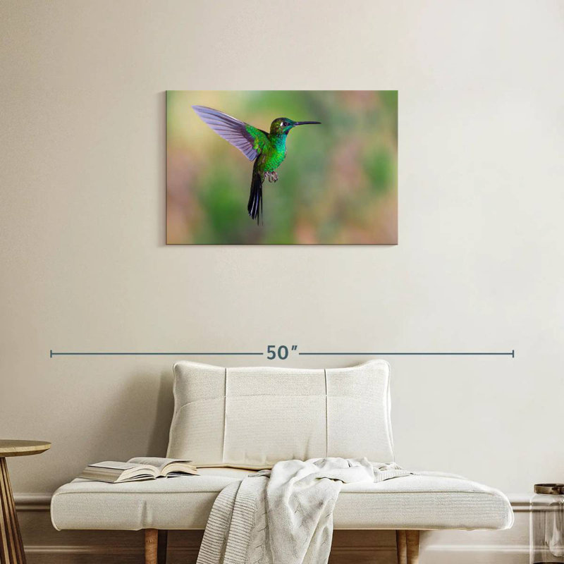 Green Fronted Hummingbird, 20" H x 30" W