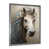Silver Single Picture Framed