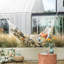 Toucan - Outdoor-842310740