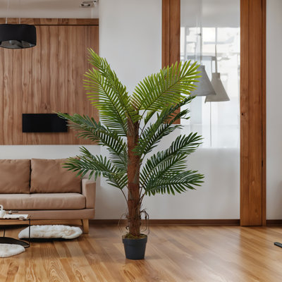 Plant