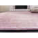 Chantae Performance Oriental Rug