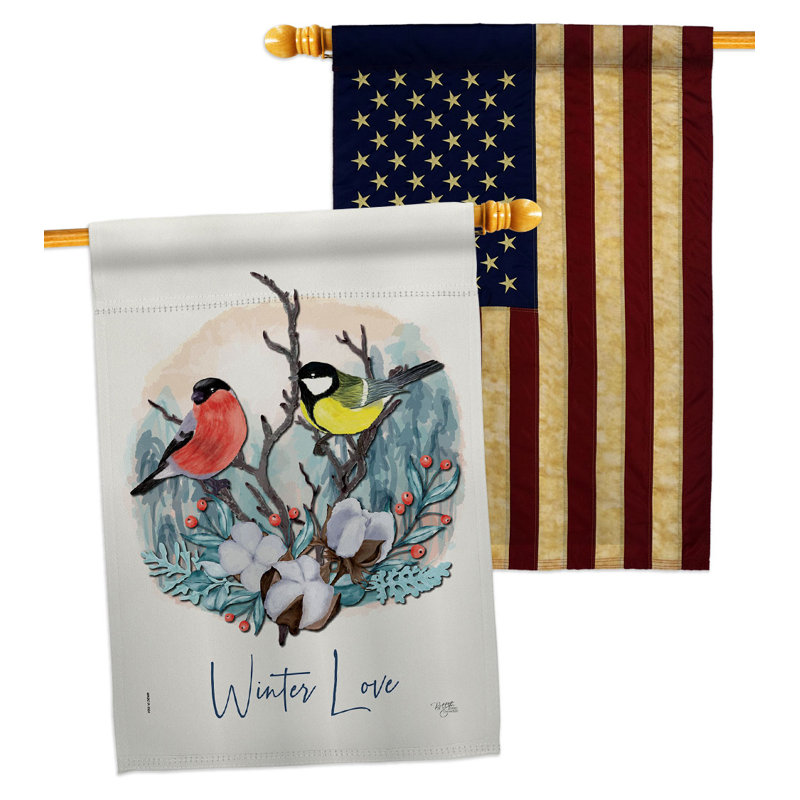 Drapeaux 40 x 28 pi