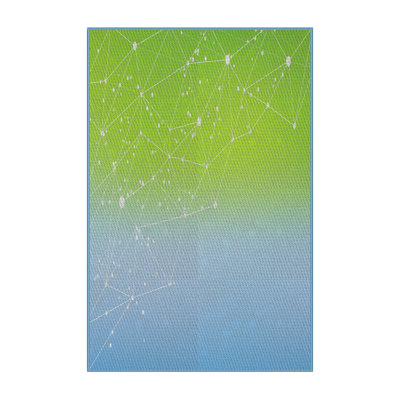 Indoor Rug