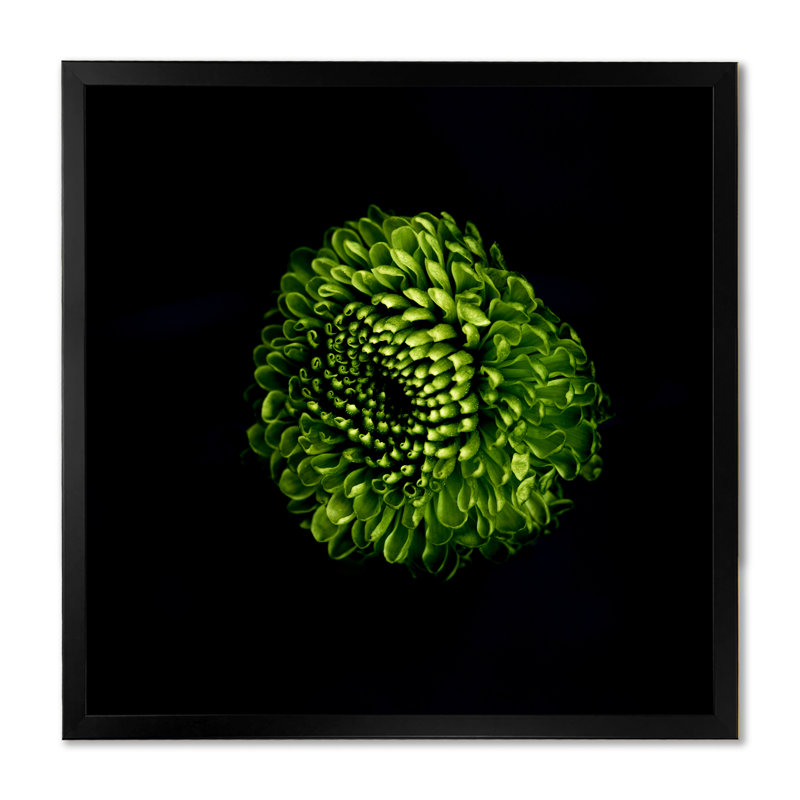 «Green Fractal Flower On Black», reproduction de cadre photo sur toile, H 16 po x l 16 po x P 1 po, Cadre photo noir
