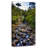 El Yunque Stream-1901699821