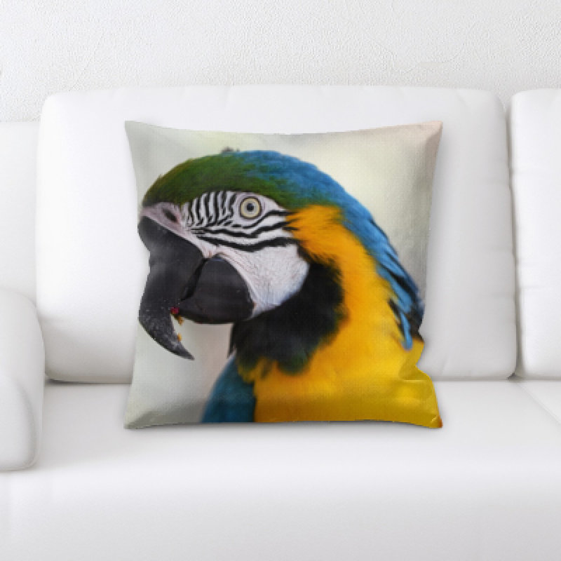 Coussin oiseau