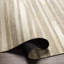 Jardin Striped Area Rug-1693989599