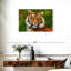 Tigre aux yeux verts Brampt-108695773