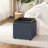 Ciocia Upholstered Storage Ottoman-244654915