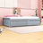 Casstown Twin Daybed with Two Drawers-1676685319