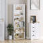 Ashaz 180cm H x 60cm W Standard Bookcase-1132298258