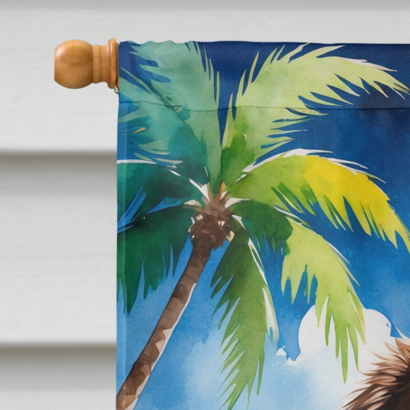 Drapeau de la maison esquimau américain, Chocolat Terre-Neuve