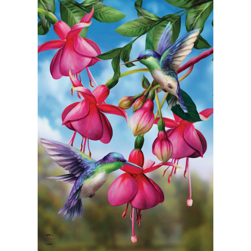 Drapeau de la maison du vol des colibris