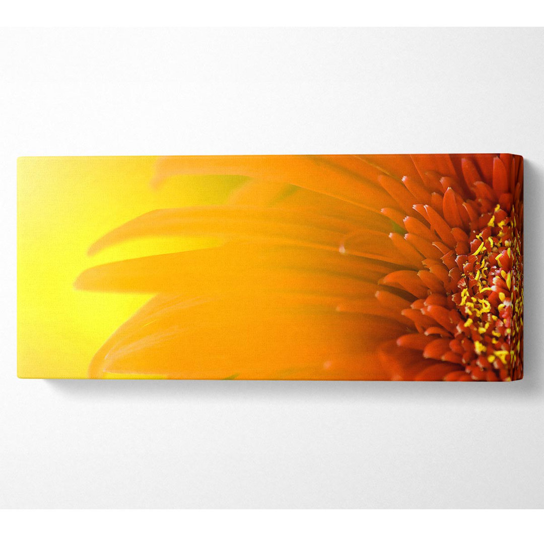 Orange Flower Mist - Kunstdrucke auf Leinwand - Wrapped Canvas