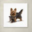 «Armand Yorky» par Armand, reproduction sur toile-21648406