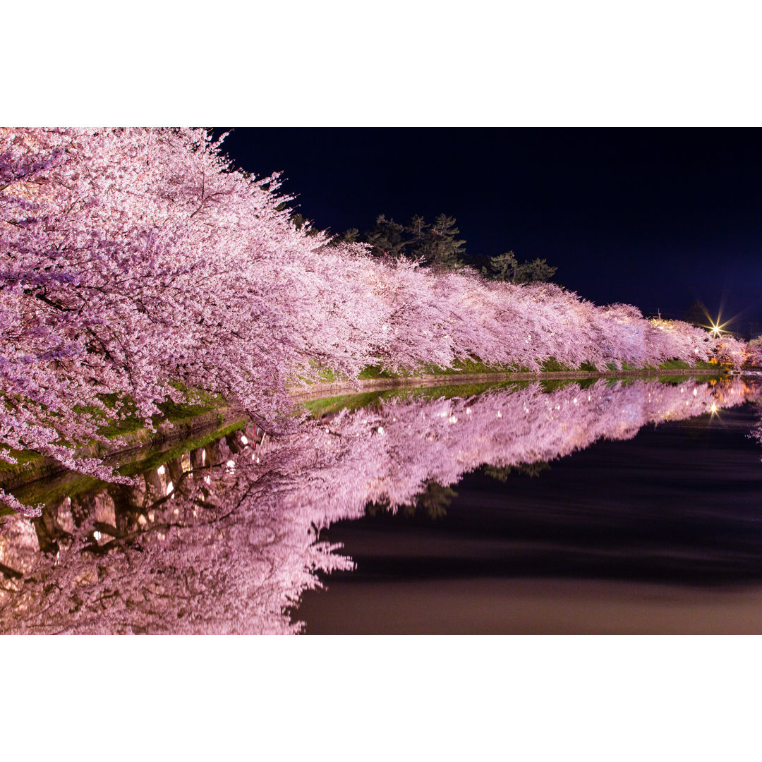 Sakura Trees von Masafarnorth - Kunstdrucke auf Leinwand