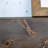 100% Solid Wood Floating Shelf-474713