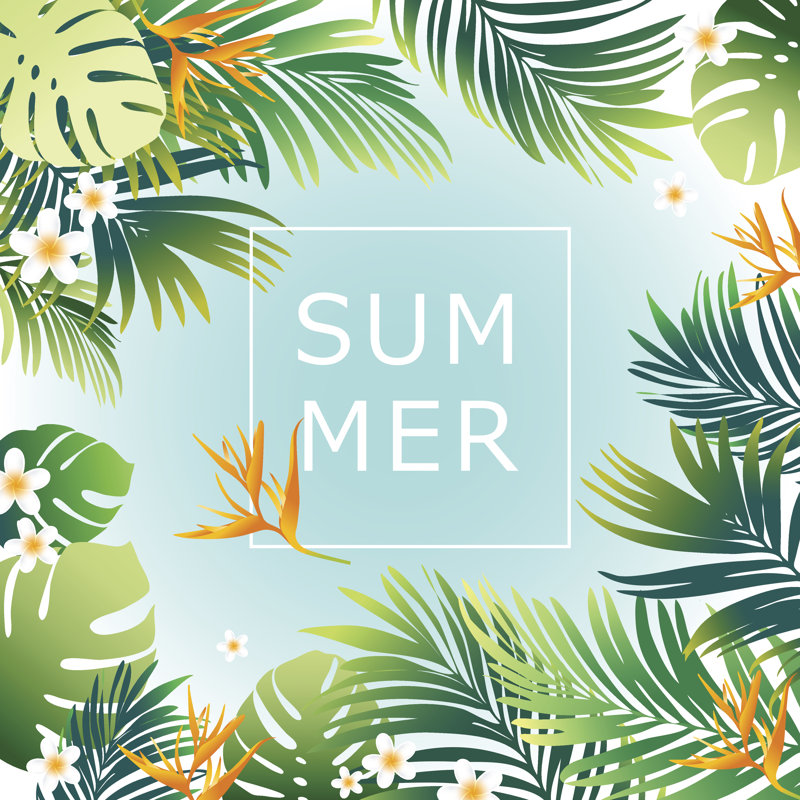 Flyer Deserie Summer Tropical, H 12 po x l 12 po