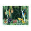 Fête de jungle-95429749