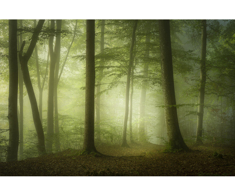 1 Piece Wrapped Canvas Wall Art