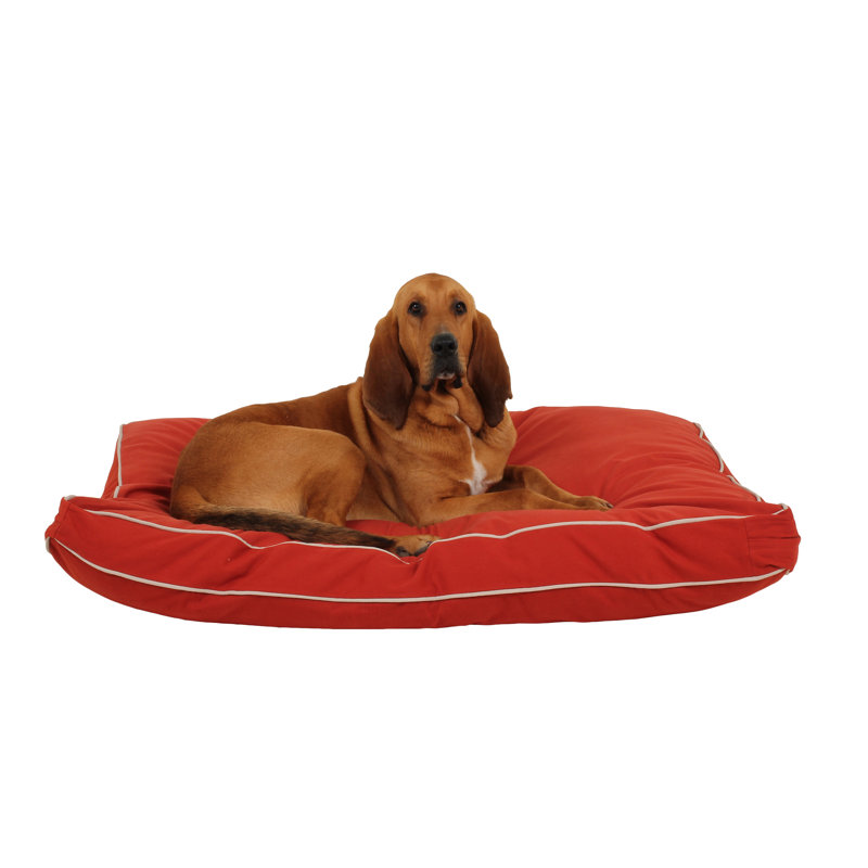 Lit pour animal de compagnie rectangulaire classique avec housse amovible, Très grand (l 48 po x P 36 po x H 4 po), Rouge