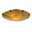 Araneta 14 - Light Semi Flush Mount