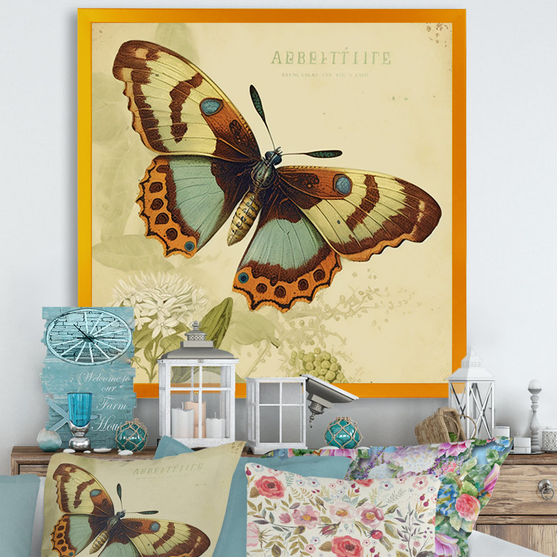 «Annele Vintage Illustration Of Butterfly IV», reproduction sur toile, Impression dorée sur toile encadrée